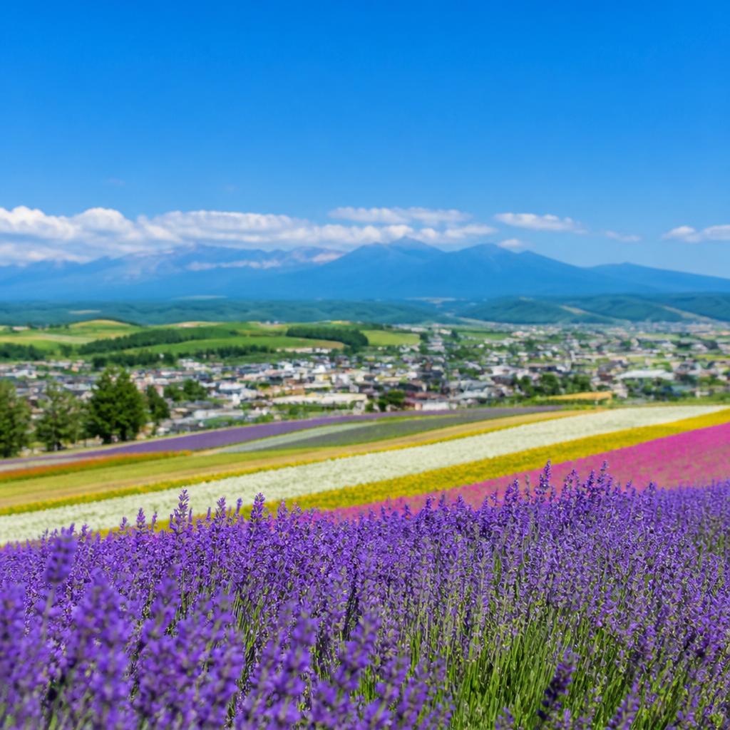 地価上昇の背景に迫る！