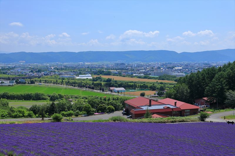 富良野市の未来を見据えた不動産売却を！富良野市の売却査定ならIEKURAS（イエクラス）！